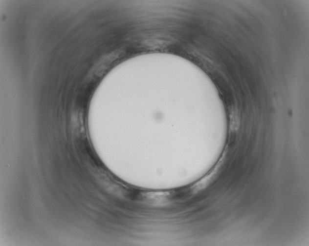 X0000078830182200612111529