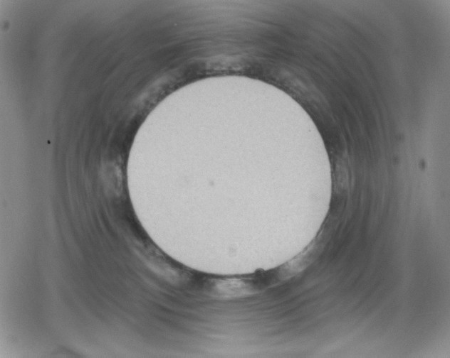 X0000078830183200612111529