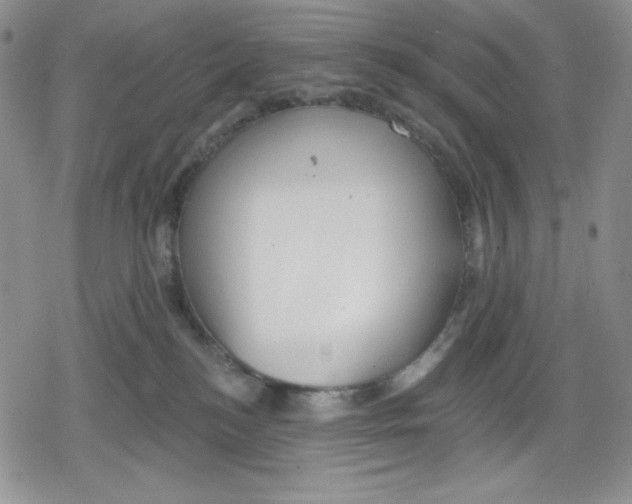 X0000078830184200612111529