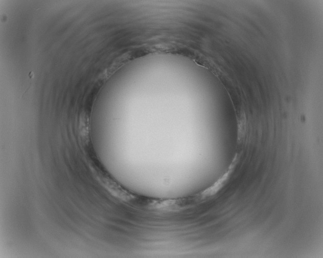 X0000078830186200612111529