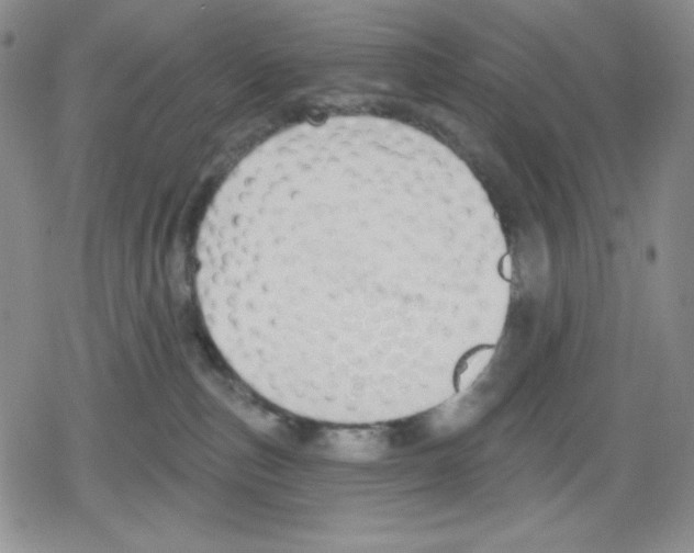 X0000078830187200612111529