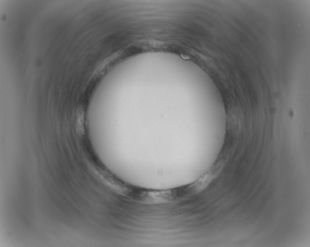 X0000078830188200612111529