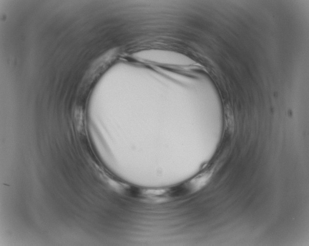 X0000078830189200612111529