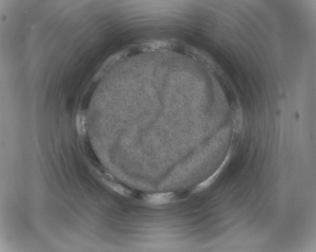 X0000078830191200612111529