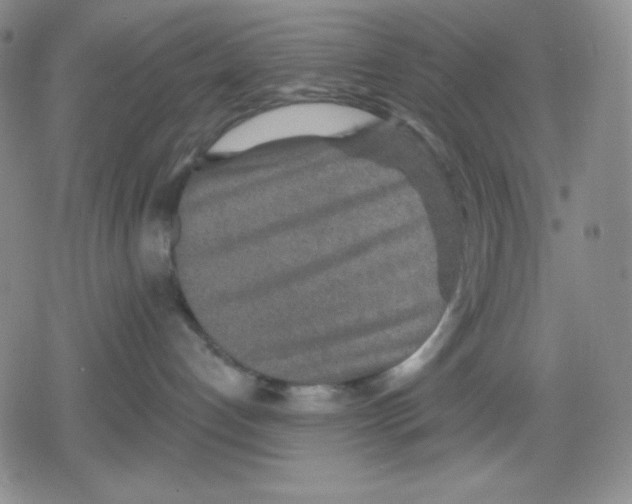 X0000078830192200612111529