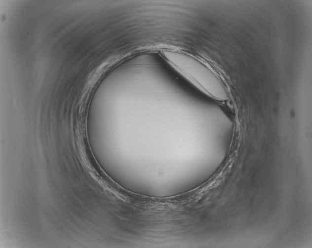 X0000078830193200612111528