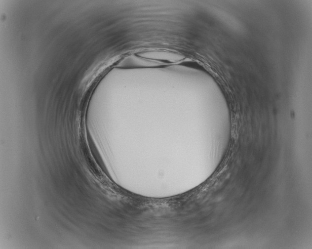 X0000078830194200612111528