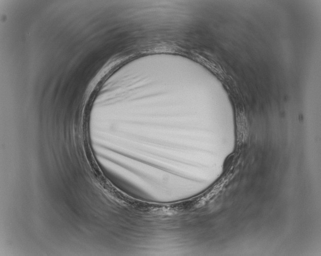 X0000078830195200612111528