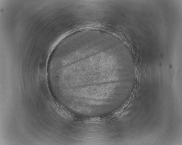 X0000078830196200612111528