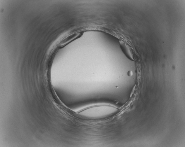 X0000078830197200612111528