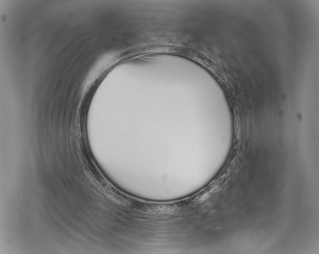 X0000078830198200612111528