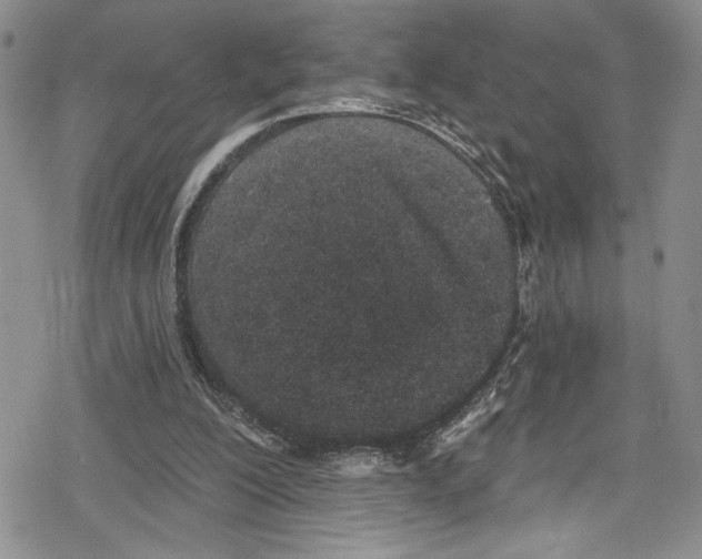 X0000078830200200612111528