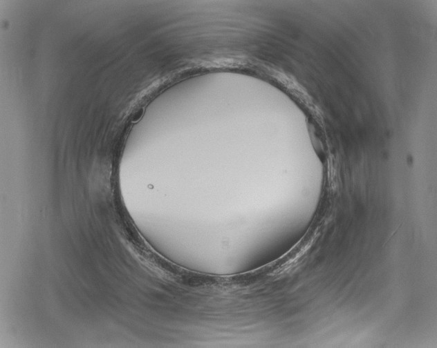 X0000078830201200612111528