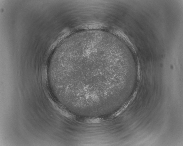 X0000078830202200612111528