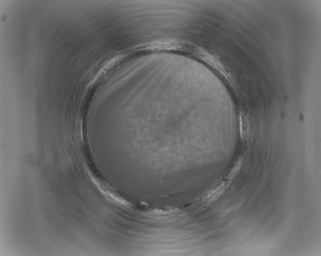 X0000078830205200612111528