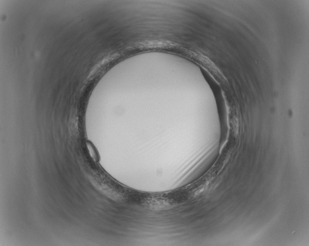 X0000078830207200612111528