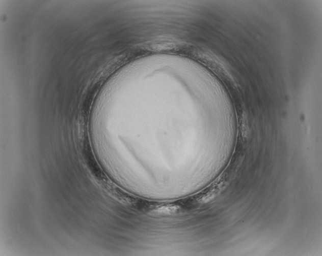 X0000078830210200612111528