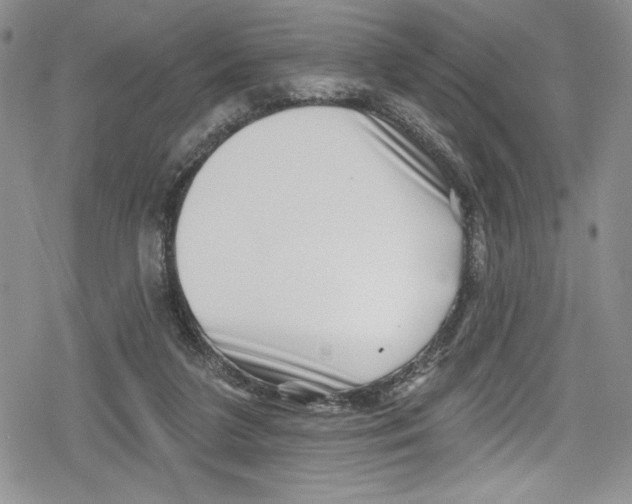 X0000078830211200612111528