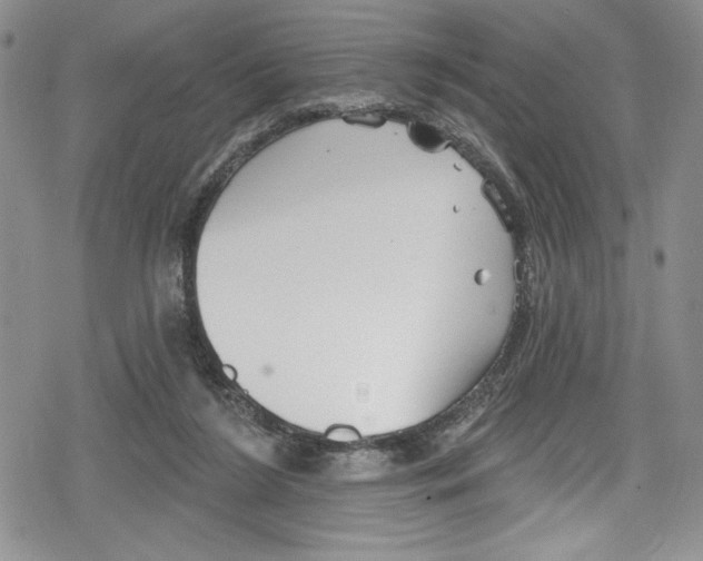 X0000078830212200612111528