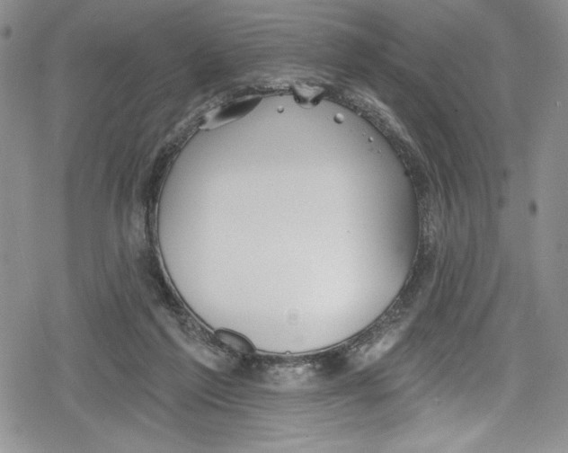 X0000078830213200612111528