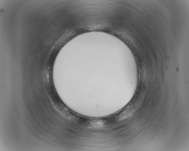 X0000078830214200612111528