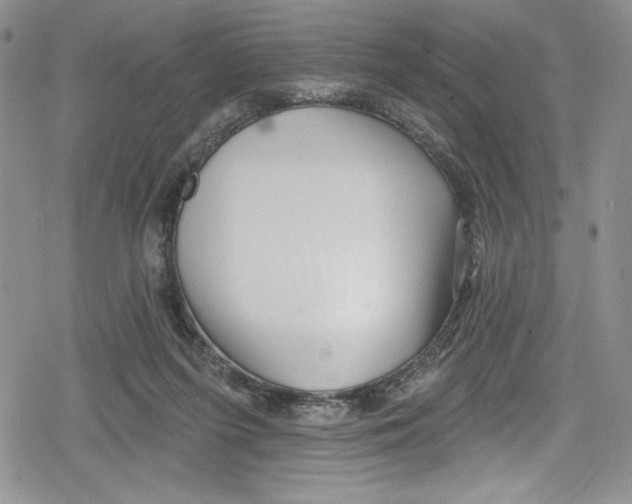 X0000078830215200612111528