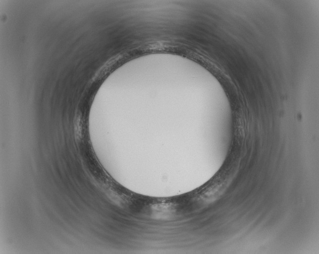 X0000078830216200612111528