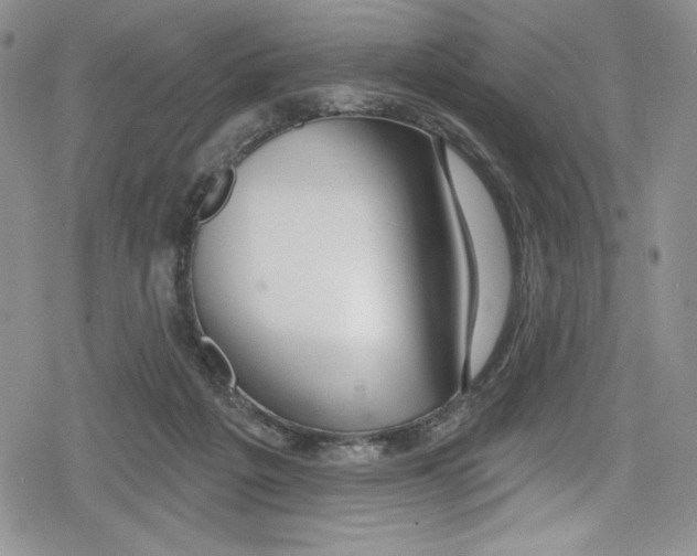 X0000078830217200612111528