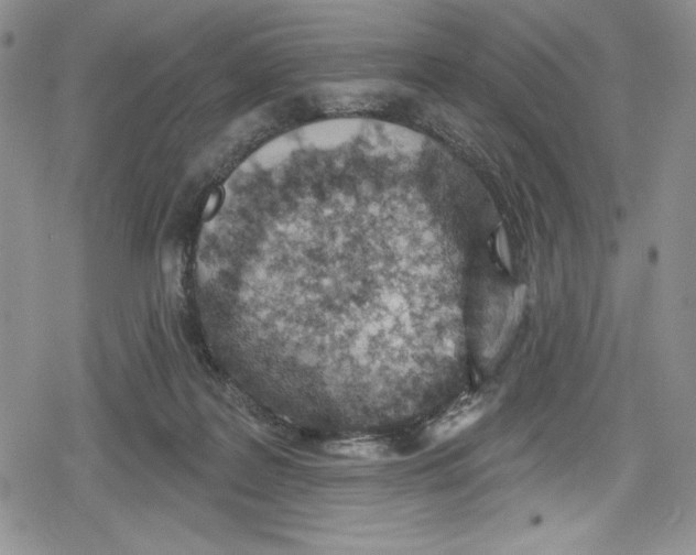 X0000078830219200612111528