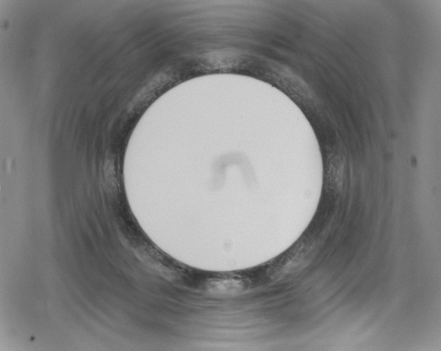 X0000078830220200612111528