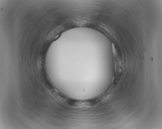 X0000078830221200612111528