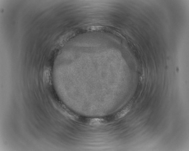 X0000078830222200612111528