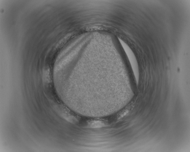 X0000078830224200612111527