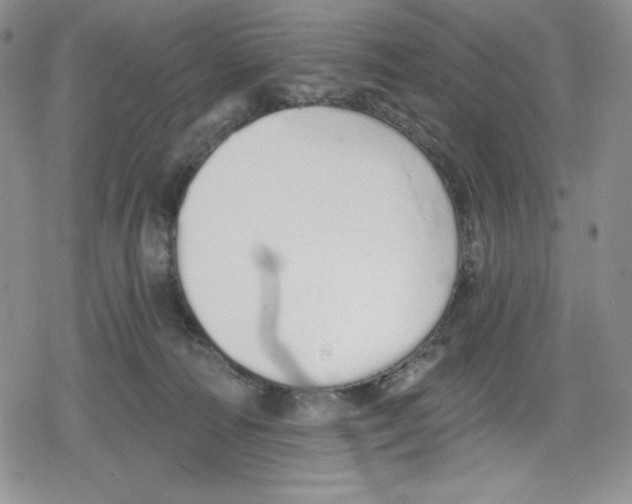 X0000078830226200612111527