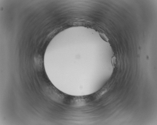 X0000078830228200612111527