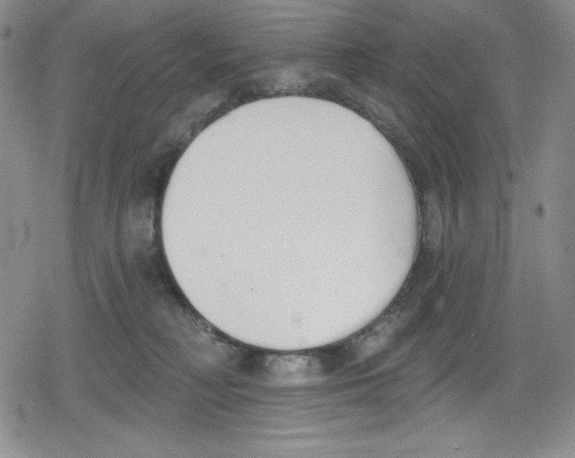 X0000078830230200612111527