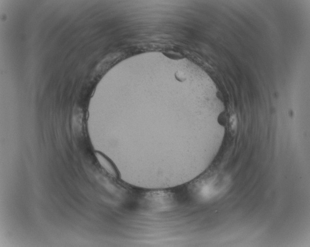 X0000078830231200612111527