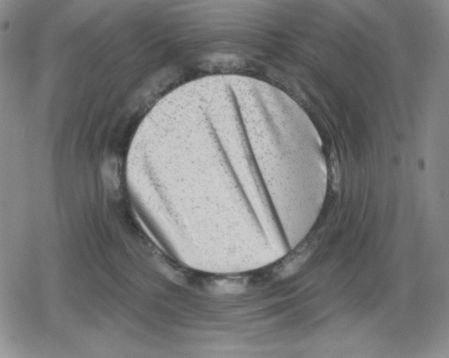 X0000078830232200612111527