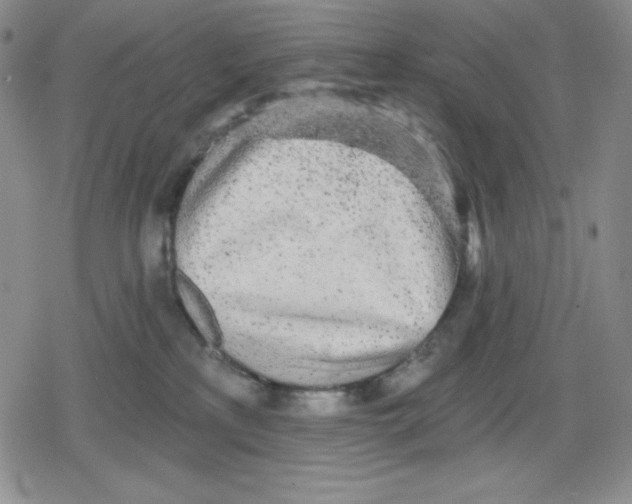 X0000078830233200612111527