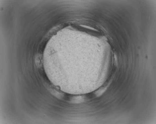 X0000078830237200612111527