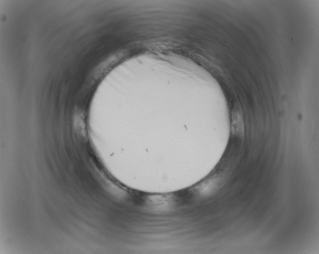 X0000078830238200612111527