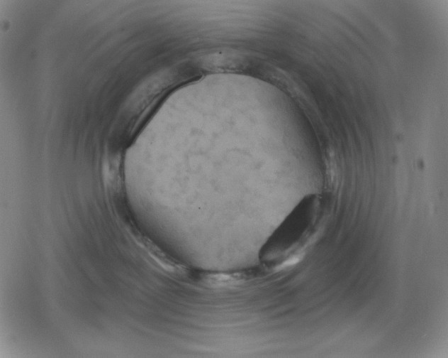 X0000078830239200612111527