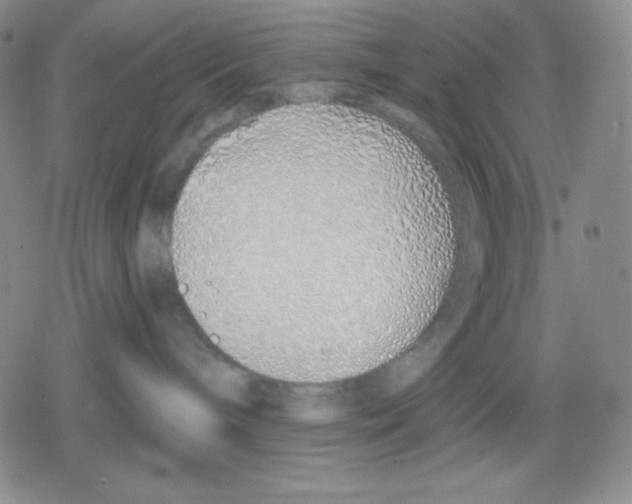 X0000078830240200612111527