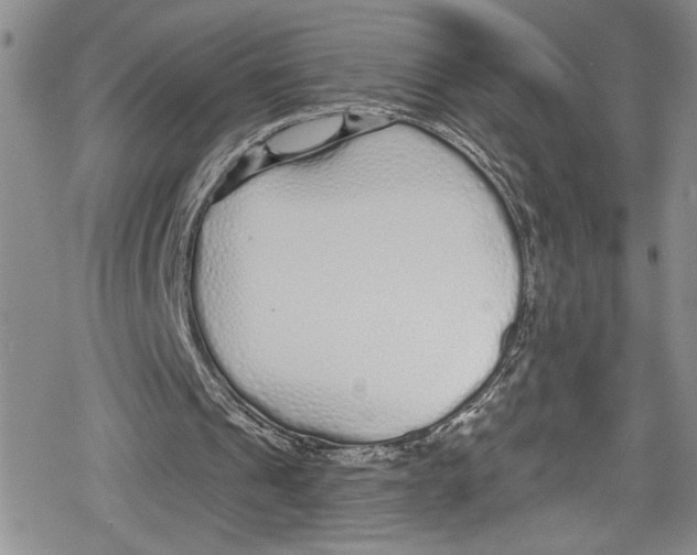 X0000078830241200612111526