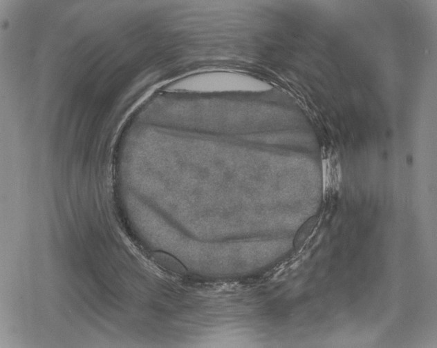 X0000078830243200612111526