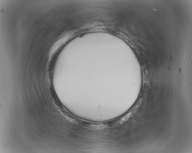 X0000078830245200612111526