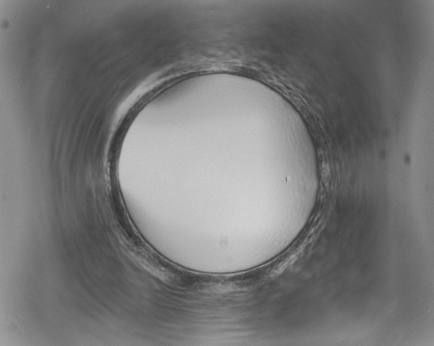 X0000078830246200612111527