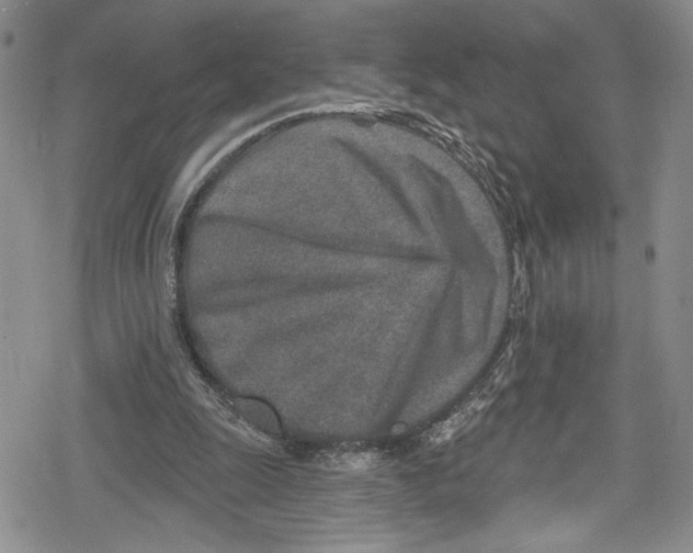 X0000078830247200612111527