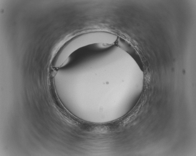 X0000078830248200612111527