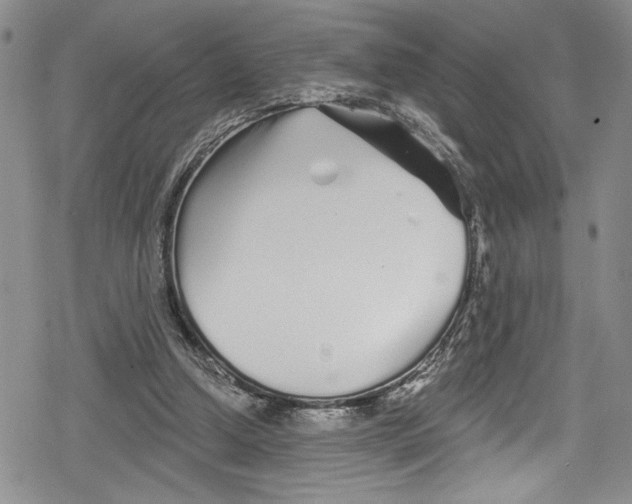 X0000078830250200612111527